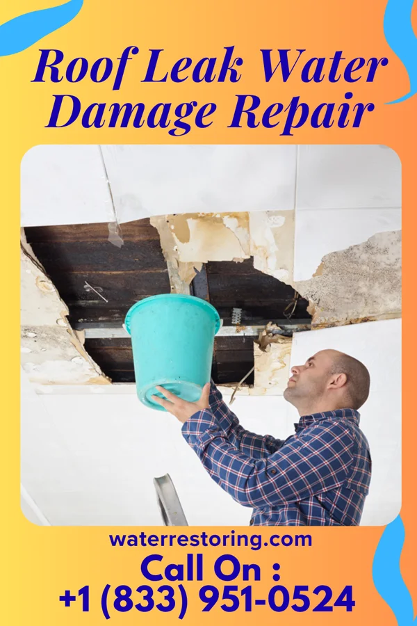 Roof Leak Water Damage Repair in Four Corners, MT